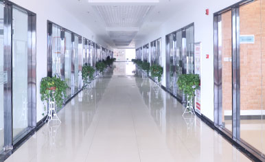 �в�ѧУ����