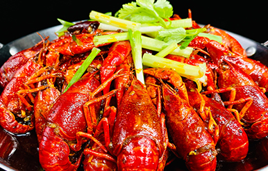 ���ϳ�ʦѧУѧ���в���Ʒ