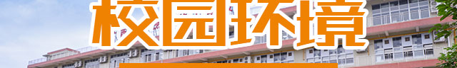 ʦѧУ
